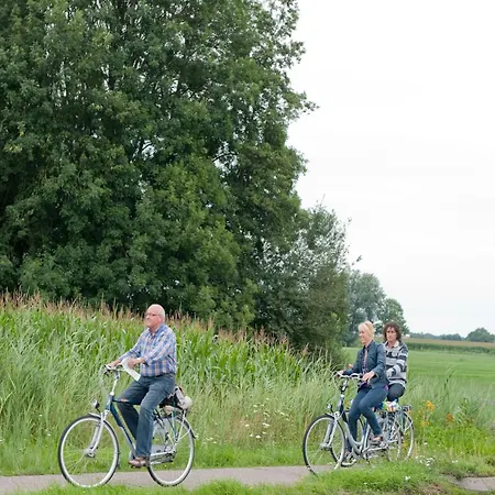 In A Car-free Park Vlierden